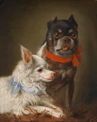 Dog Portrait